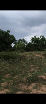 Agricultural/Farm Land for Sale in Shoolagiri, Hosur (1.00 Acre)