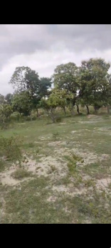 Agricultural/Farm Land for Sale in Bynapalli, Krishnagiri (14.00 Acre)