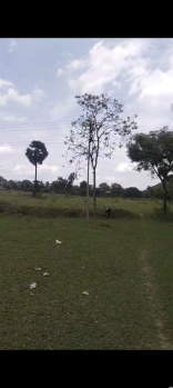 Property for sale in Bynapalli, Krishnagiri