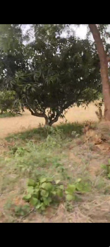 Property for sale in Veppanapalli, Krishnagiri