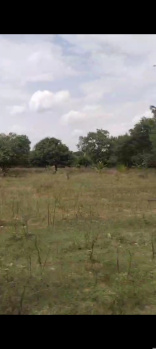 Property for sale in Veppanapalli, Krishnagiri