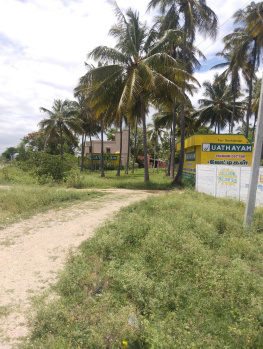 Commercial Lands /Inst. Land for Sale in Bargur, Krishnagiri (2.60 Acre)