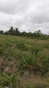 Property for sale in Shoolagiri, Krishnagiri