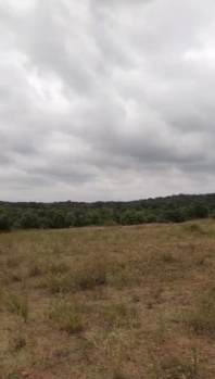 Agricultural/Farm Land for Sale in Hosur Taluk, Krishnagiri (30 Acre)