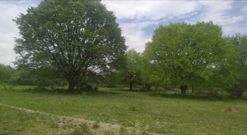 Agricultural/Farm Land for Sale in Marandahalli, Dharmapuri (160 Acre)