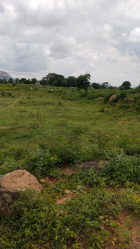 Agricultural/Farm Land for Sale in Shoolagiri, Hosur (2 Acre)