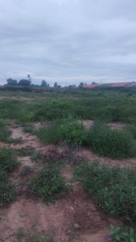 Agricultural/Farm Land for Sale in Shoolagiri, Hosur (1.20 Acre)