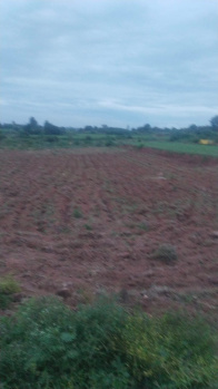 Agricultural/Farm Land for Sale in Shoolagiri, Hosur (95 Cent)