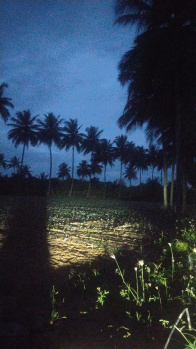 Agricultural/Farm Land for Sale in Begapalli, Hosur (3.90 Acre)