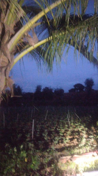 Property for sale in Begapalli, Hosur