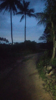 Property for sale in Begapalli, Hosur