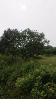 Agricultural/Farm Land for Sale in Shoolagiri, Hosur (75 Cent)