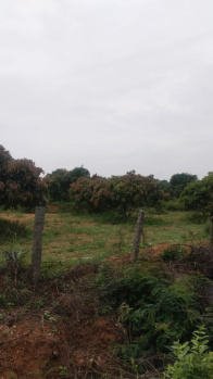 3.60 Acre Agricultural/Farm Land for Sale in Chennathur, Hosur