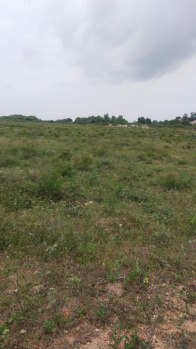 Agricultural/Farm Land for Sale in Shoolagiri, Hosur (22 Acre)