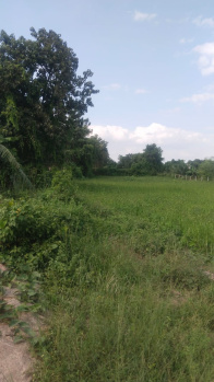Agricultural/Farm Land For Sale In Shoolagiri, Hosur (75 Cent)