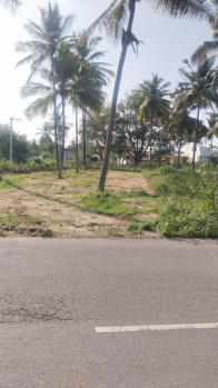 Agricultural/Farm Land for Sale in Shoolagiri, Hosur (14 Cent)