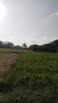 Agricultural/Farm Land for Sale in Shoolagiri, Hosur (25 Cent)