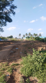 Agricultural/Farm Land for Sale in Shoolagiri, Hosur (2 Acre)