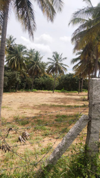 Agricultural/Farm Land for Sale in Shoolagiri, Hosur (50 Cent)