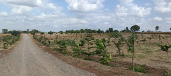 Agricultural/Farm Land for Sale in Shoolagiri, Hosur (20 Acre)
