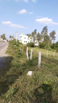 Agricultural/Farm Land for Sale in Shoolagiri, Hosur (19 Cent)