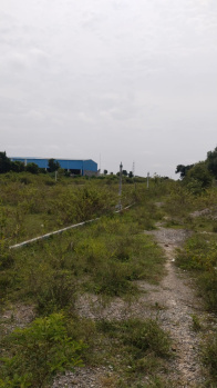 Agricultural/Farm Land for Sale in Shoolagiri, Hosur (3.30 Acre)