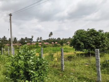 Agricultural/Farm Land for Sale in Shoolagiri, Hosur (2.70 Acre)