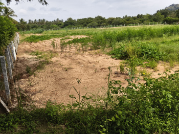 Agricultural/Farm Land for Sale in Shoolagiri, Hosur (3 Acre)