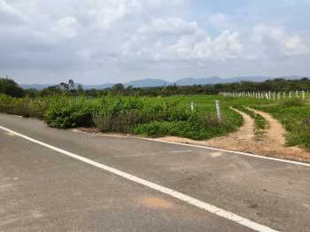 Agricultural/Farm Land for Sale in Shoolagiri, Hosur (50 Acre)