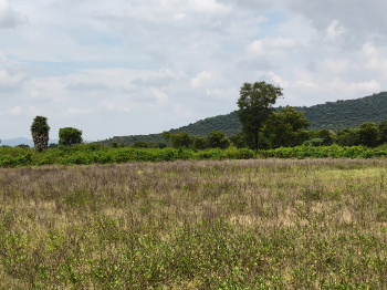 Agricultural/Farm Land for Sale in Shoolagiri, Hosur (25 Acre)