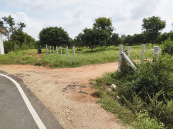 Agricultural/Farm Land for Sale in Shoolagiri, Hosur (75 Acre)