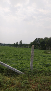 Agricultural/Farm Land for Sale in Shoolagiri, Hosur (7 Acre)