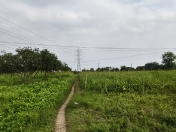 Agricultural/Farm Land for Sale in Shoolagiri, Hosur (120 Acre)