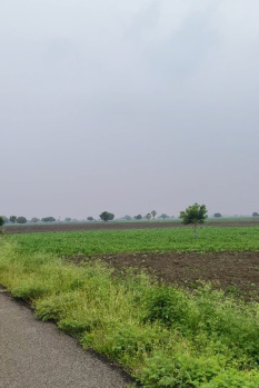500 Acre Agricultural/Farm Land for Sale in Nagampatti, Thoothukudi