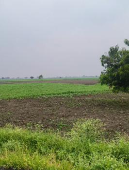 Property for sale in Nagampatti, Thoothukudi