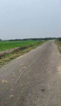 Agricultural/Farm Land for Sale in Vilathikulam, Thoothukudi (500 Acre)