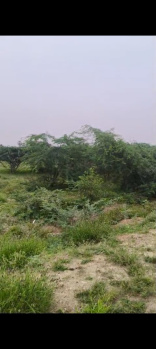 Agricultural/Farm Land for Sale in Vilathikulam, Thoothukudi (200 Sq.ft.)