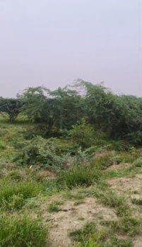 Property for sale in Vilathikulam, Thoothukudi
