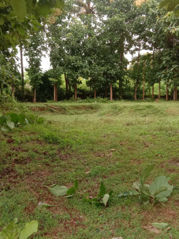 Residential Plot for Sale in Manuganahally, Mysore (9600 Sq.ft.)