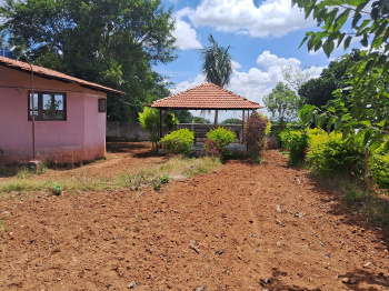 Agriculture land and farm house