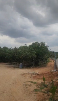 Agricultural/Farm Land for Sale in Shoolagiri, Hosur (117720 Sq.ft.)