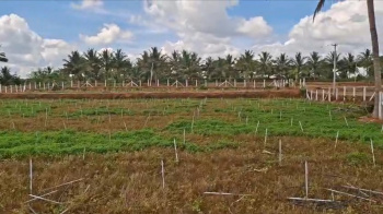 Agricultural/Farm Land for Sale in Shoolagiri, Hosur (45344 Sq.ft.)