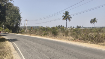 Industrial Land / Plot for Sale in Shoolagiri, Hosur (1308000 Sq.ft.)