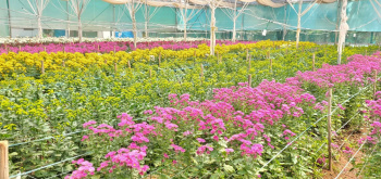 Agricultural/Farm Land for Sale in Thalli, Hosur (109000 Sq.ft.)