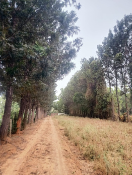 Property for sale in Thalli, Hosur