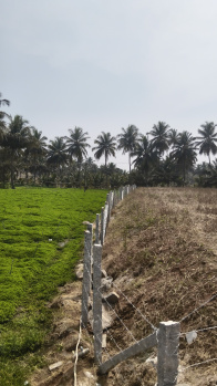 Agricultural/Farm Land for Sale in Shoolagiri, Hosur (18312 Sq.ft.)