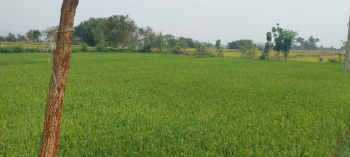 Property for sale in Thirumalai Nagar, Kanchipuram
