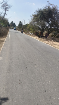 Layout purpose,Farm, Agriculture land purpose