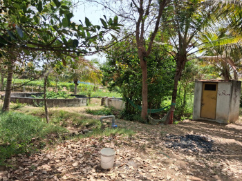 Agricultural/Farm Land for Sale in Marandahalli, Dharmapuri (56680 Sq.ft.)