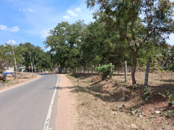 Agricultural/Farm Land for Sale in Marandahalli, Dharmapuri (235440 Sq.ft.)